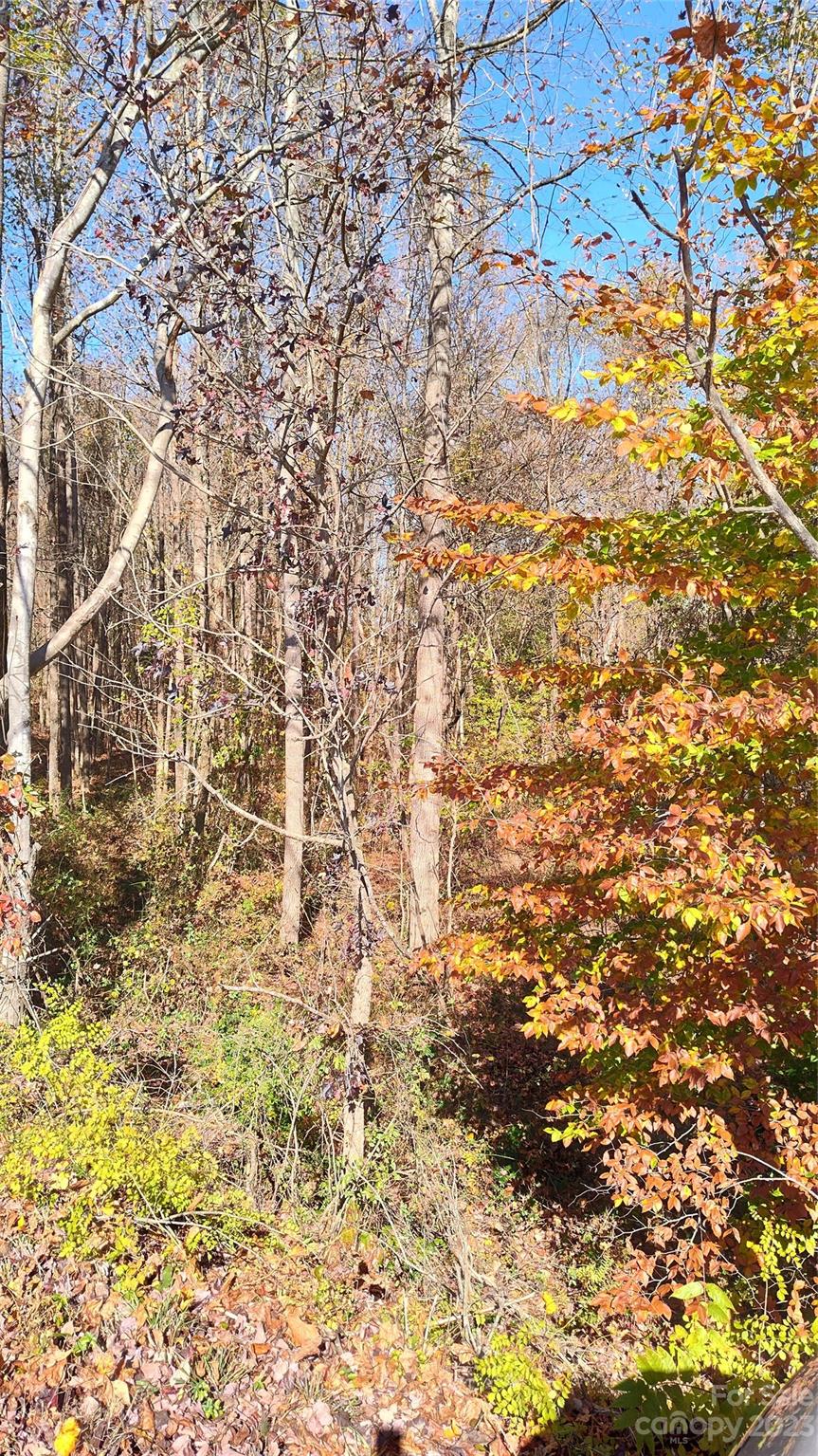 0 Tomlin Road Harmony, NC 28634 - Photo 6 of 16 Gallery Image 6