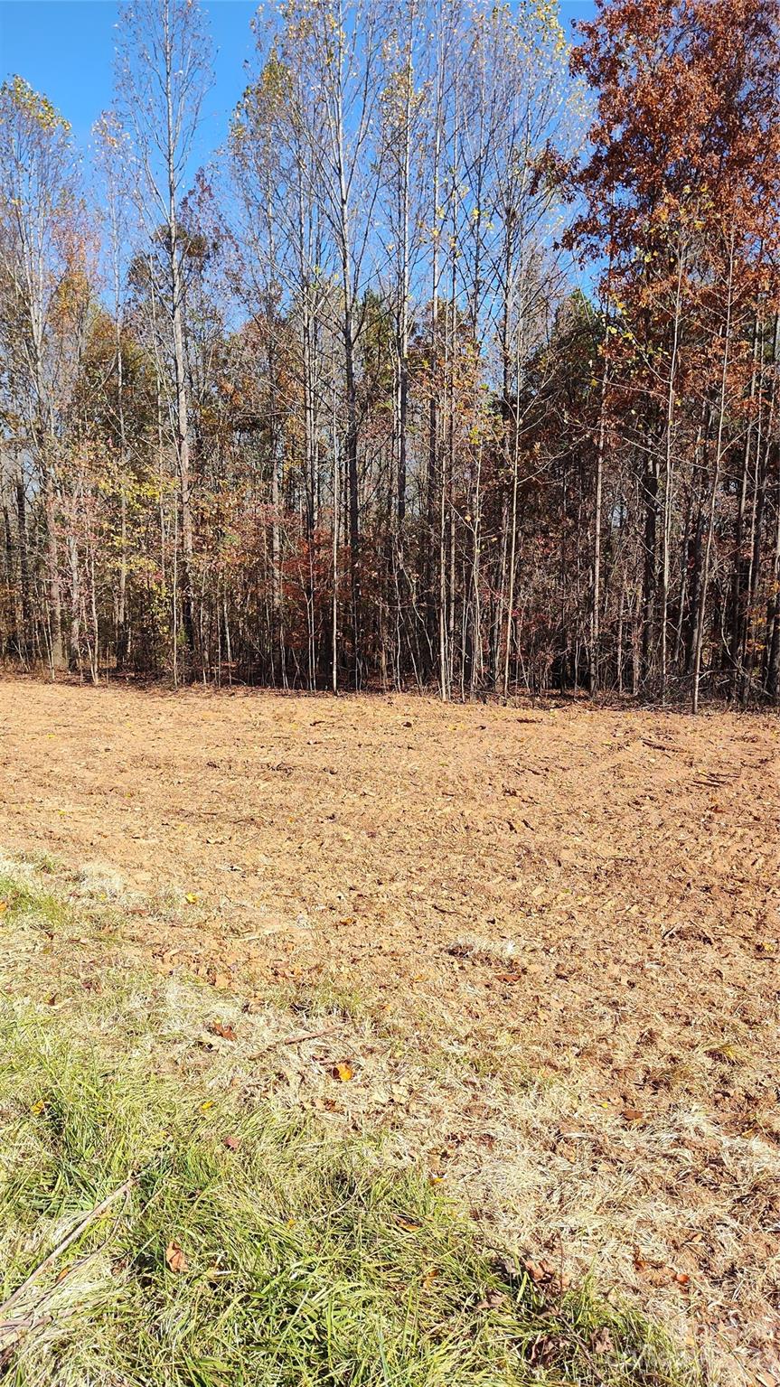0 Tomlin Road Harmony, NC 28634 - Photo 9 of 16 Gallery Image 9