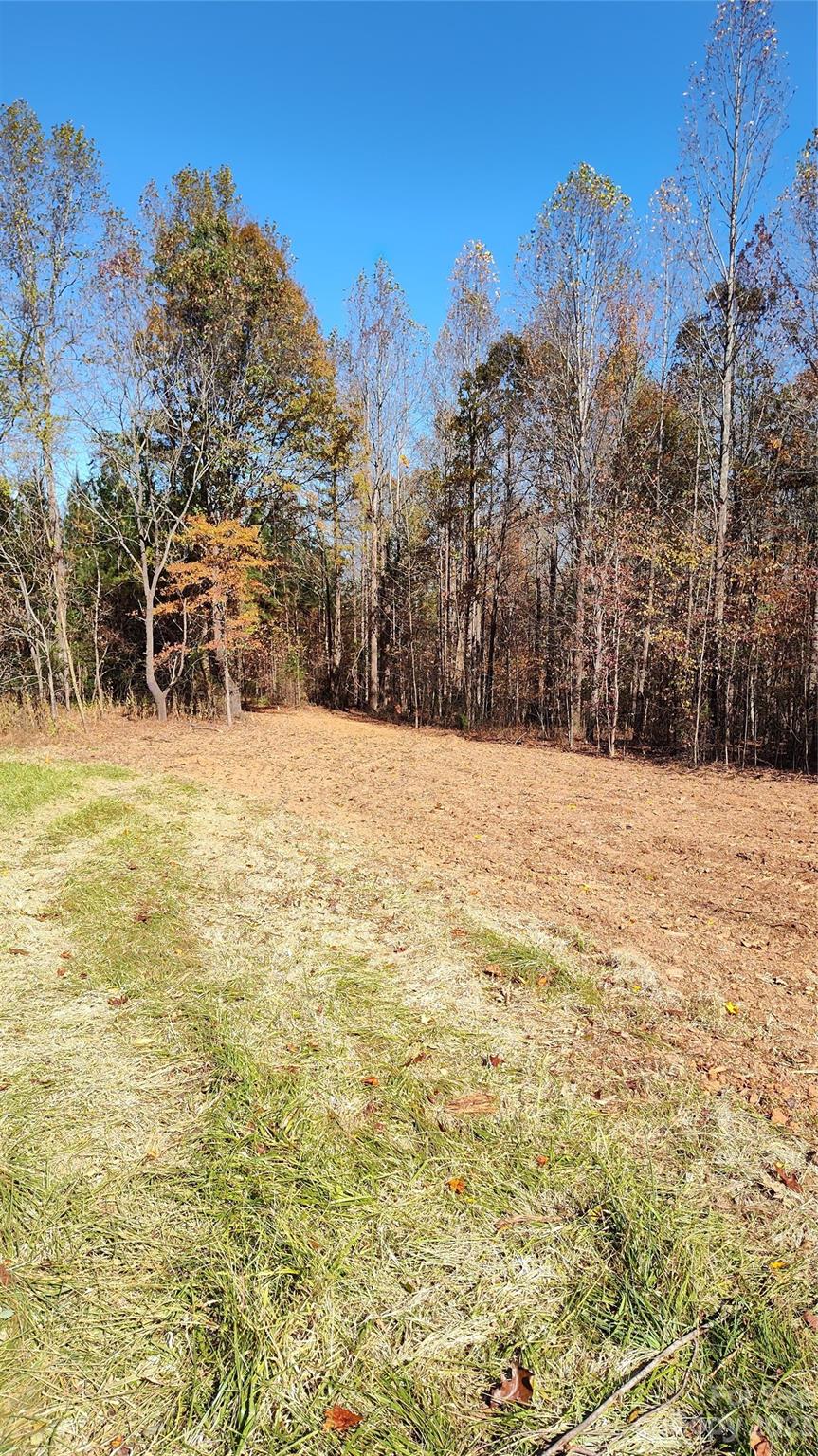 0 Tomlin Road Harmony, NC 28634 - Photo 10 of 16 Gallery Image 10