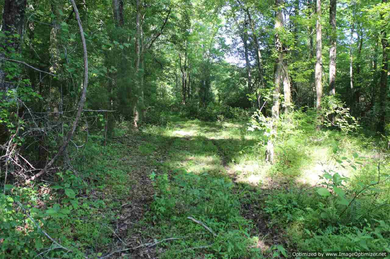 196 Old Robinson Road Madison, MS 39110 - Photo 1 of 4 Photo 1