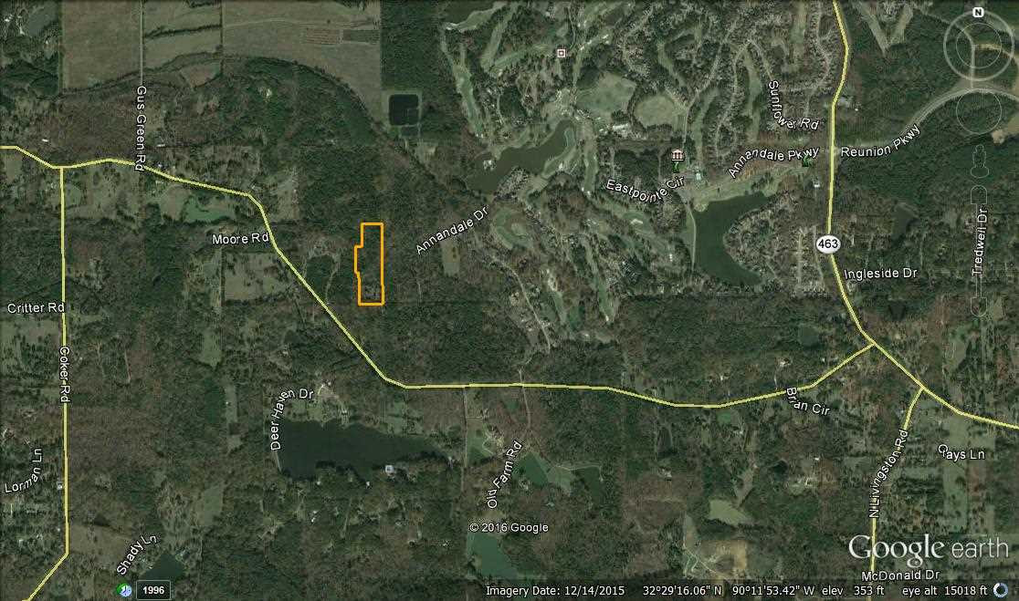 196 Old Robinson Road Madison, MS 39110 - Photo 3 of 4 Photo 3