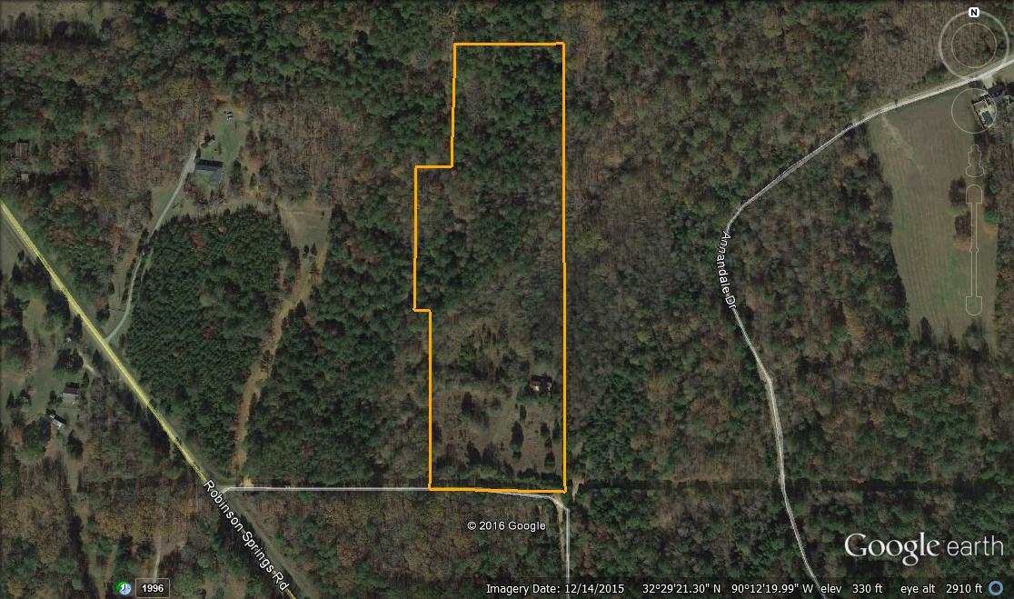196 Old Robinson Road Madison, MS 39110 - Photo 4 of 4 Photo 4