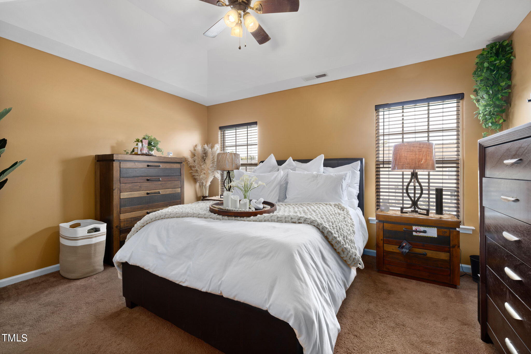 6029 Ladish Lane Raleigh, NC 27610 - Photo 5 of 11 Owners suite