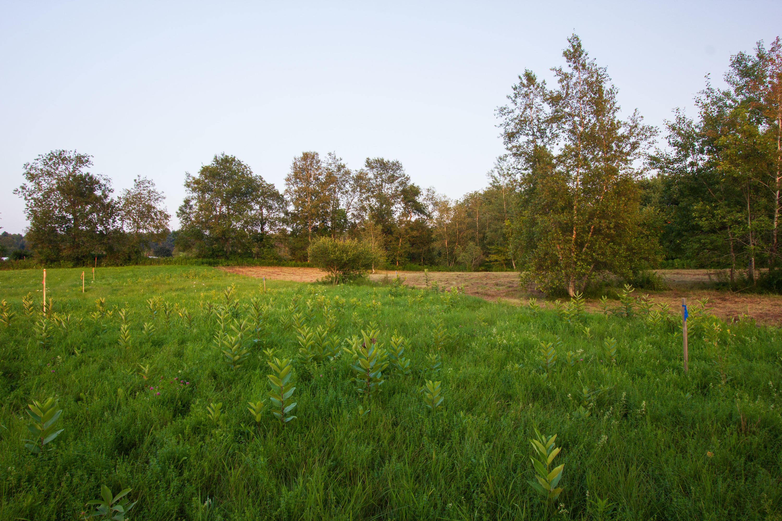 Lot 17-02 Mile Road Thorndike, ME 04986 - Photo 3 of 16 Mile Road (17 of 18)