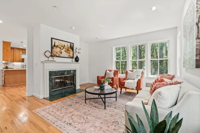 a living room with furniture a rug and a fireplace