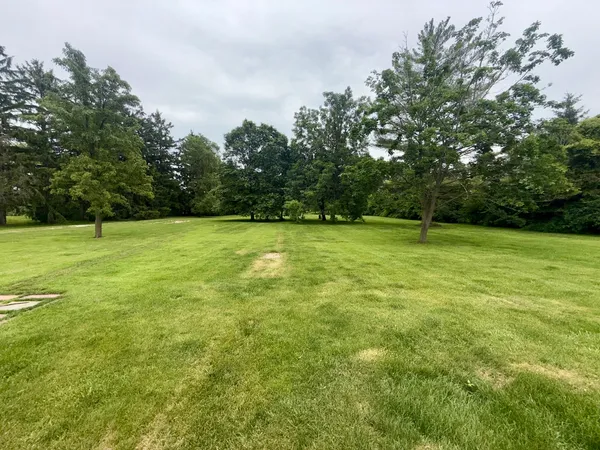 a view of a field with a trees in the background