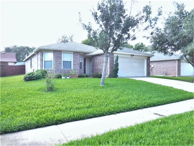 a view of a yard in front of a brick house with a large tree