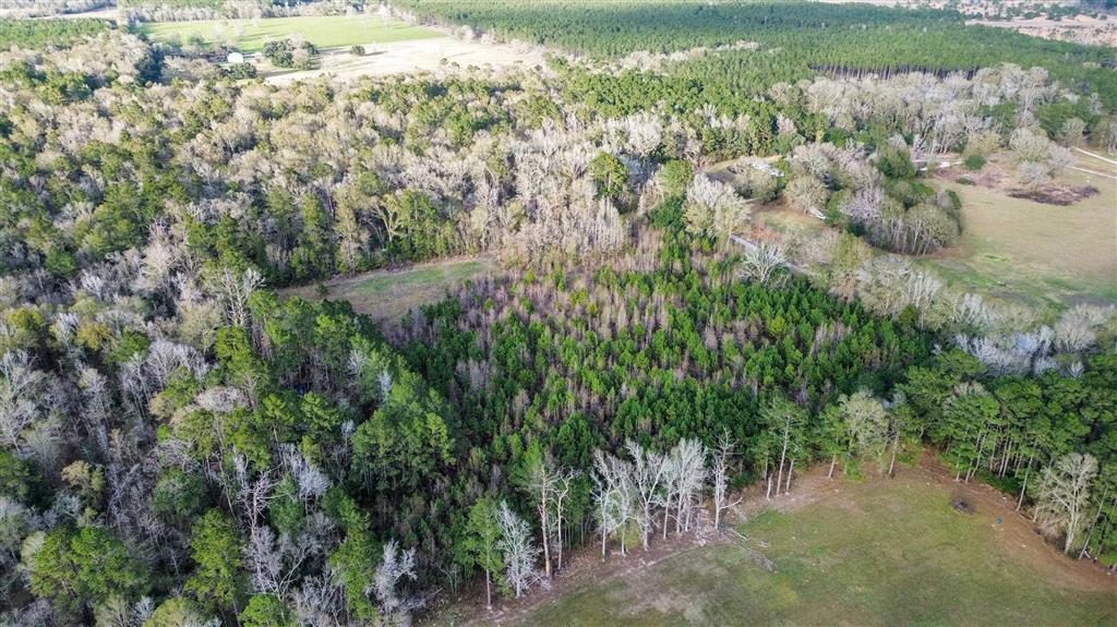 0 Nursery Road Kinder, LA 70648 - Photo 4 of 6