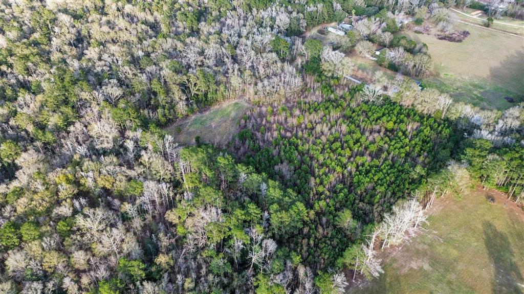 0 Nursery Road Kinder, LA 70648 - Photo 5 of 6