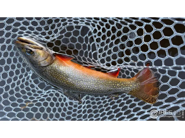 $499,000 | 6215 Mill Creek Road, Livermore, CO 80536