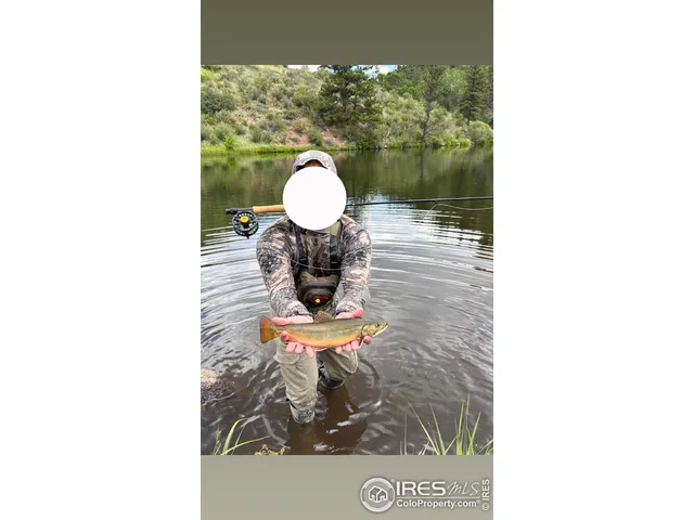 $499,000 | 6215 Mill Creek Road, Livermore, CO 80536