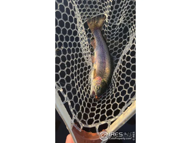 $499,000 | 6215 Mill Creek Road, Livermore, CO 80536