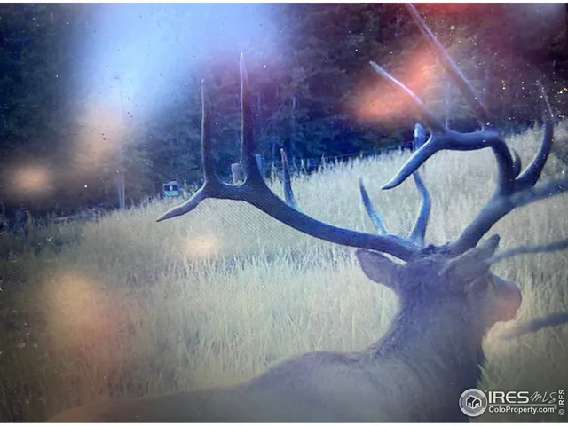 $499,000 | 6215 Mill Creek Road, Livermore, CO 80536