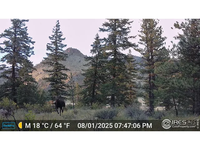 $499,000 | 6215 Mill Creek Road, Livermore, CO 80536