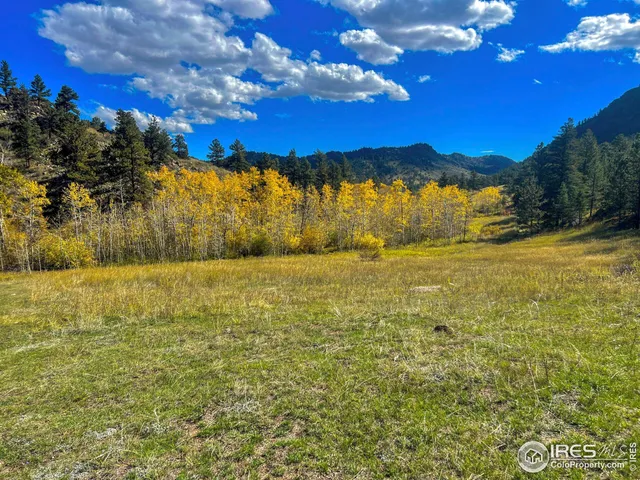 $499,000 | 6215 Mill Creek Road, Livermore, CO 80536