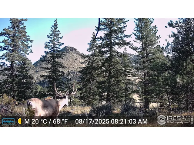 $499,000 | 6215 Mill Creek Road, Livermore, CO 80536