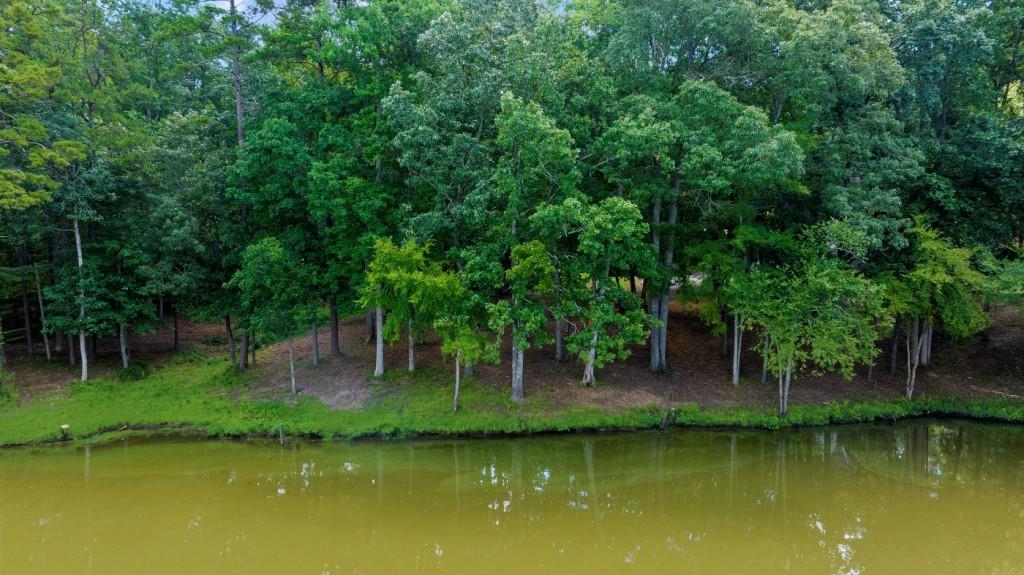16280 Clarity Road Alpharetta, GA 30004 - Photo 11 of 13 a view of a backyard with a table and chairs