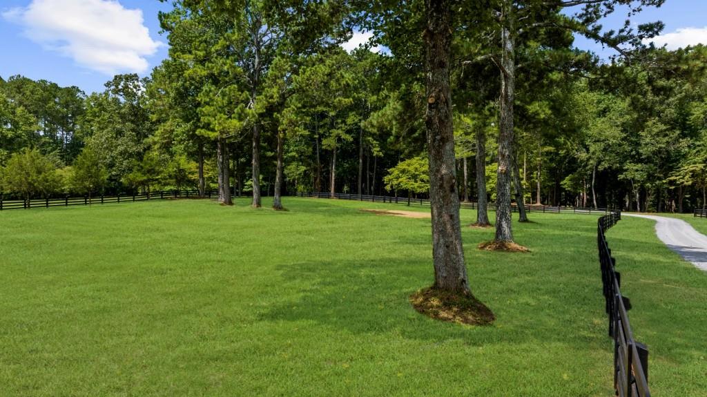 16280 Clarity Road Alpharetta, GA 30004 - Photo 6 of 13 a backyard of a house with lots of green space