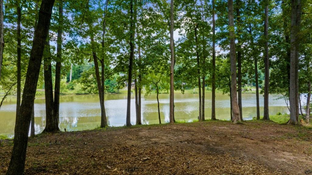 16280 Clarity Road Alpharetta, GA 30004 - Photo 9 of 13 a view of outdoor space and yard