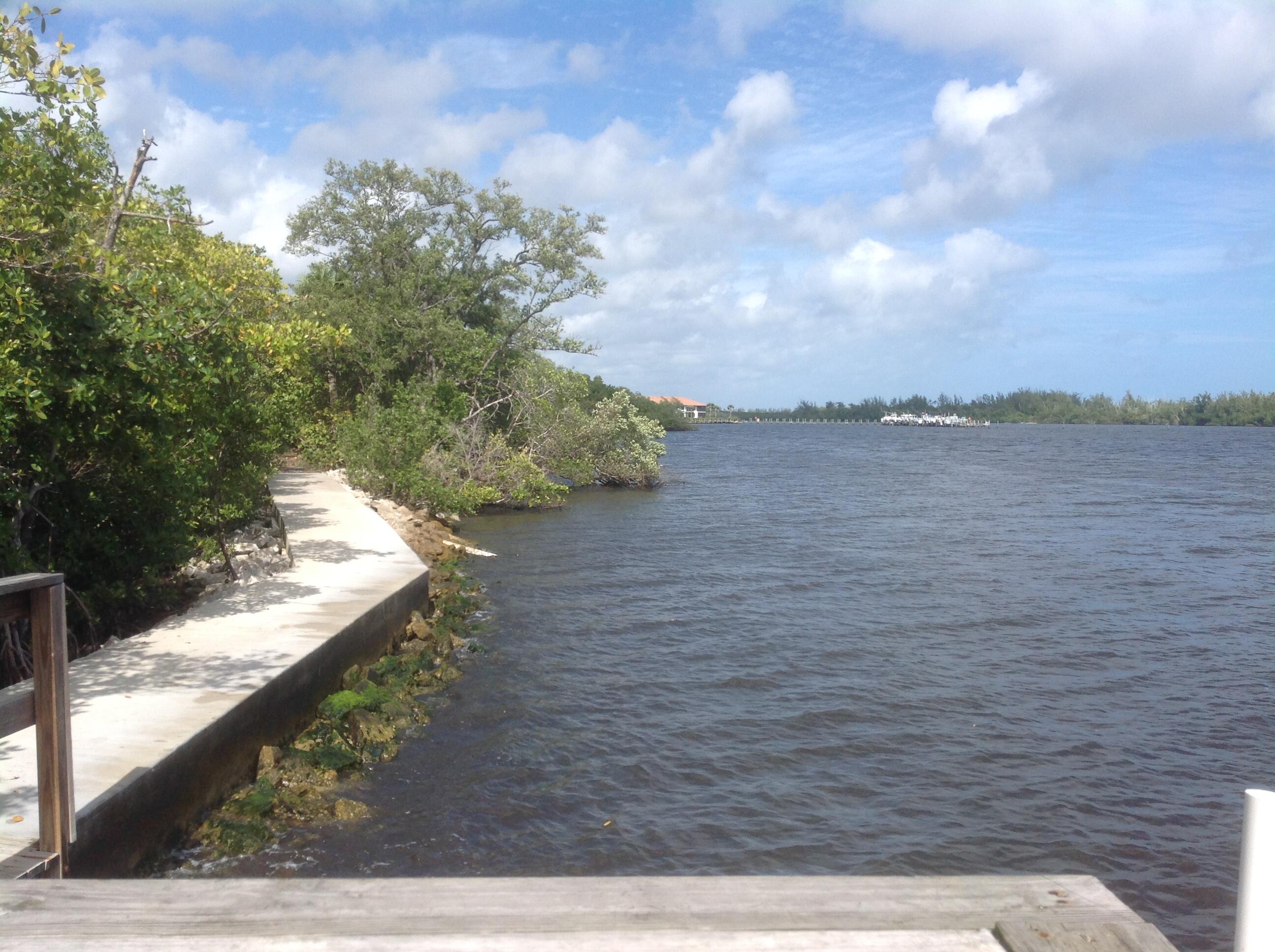 5874 Southeast Riverboat Drive, Unit 330 Stuart, FL 34997 - Photo 5 of 40 a view of a lake from a yard