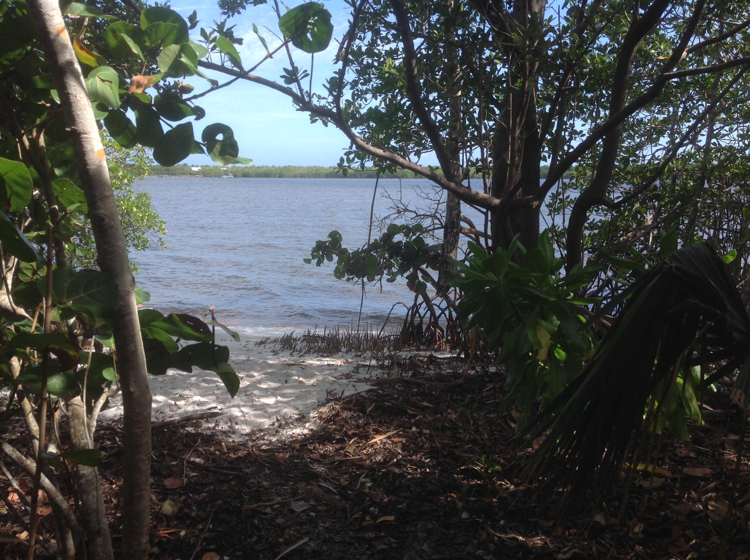 5874 Southeast Riverboat Drive, Unit 330 Stuart, FL 34997 - Photo 6 of 40 a view of a tree in front of a house