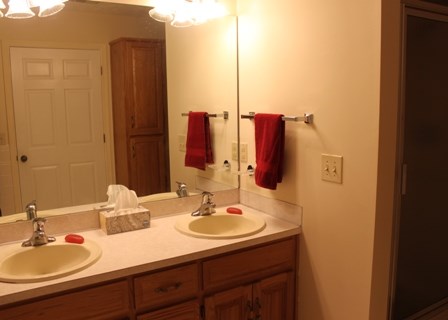 101 Alabama Road Waverly Hall, GA 31831 - Photo 17 of 33 Master Bath 3
