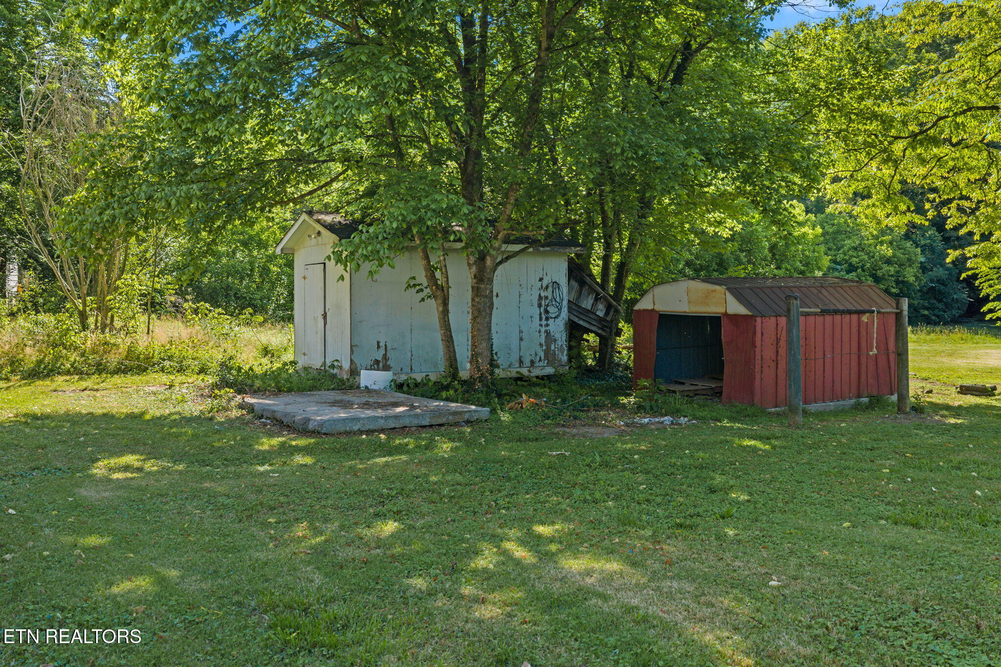 369 Back Valley Road Oliver Springs, TN 37840 - Photo 8 of 27 33-web-or-mls-369 Back Valley--55