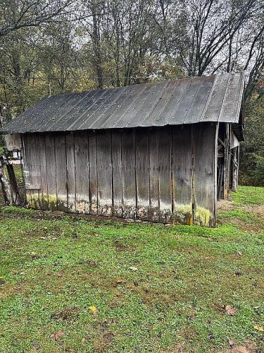 328 Young Branch Road Dixon Springs, TN 37057 - Photo 12 of 18