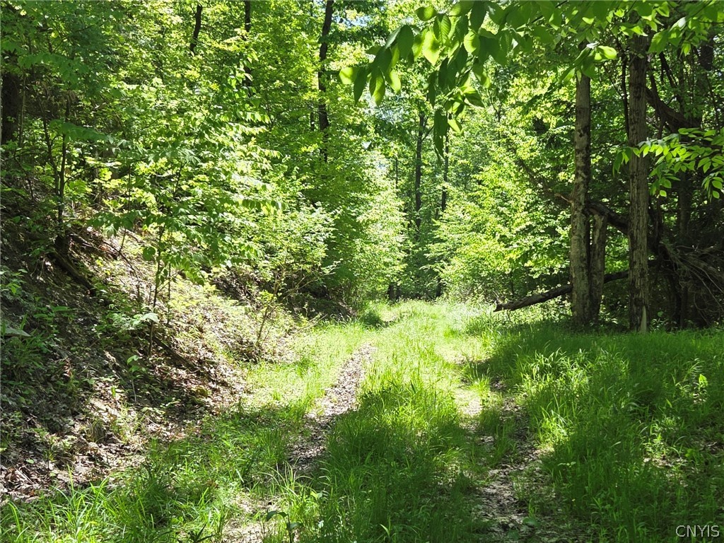 Lillibridge Road Olean, NY 14760 - Photo 40 of 48