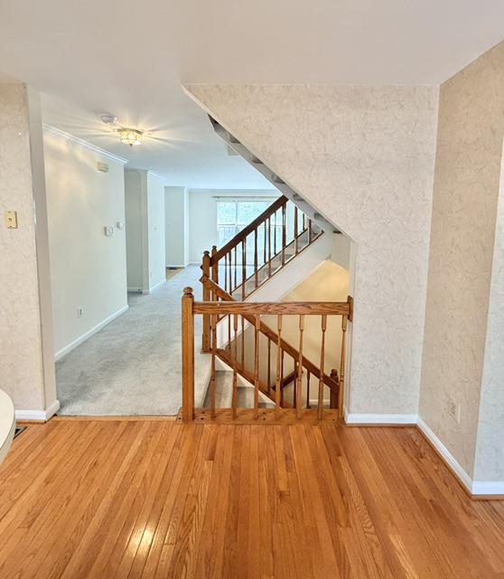 45572 Whitcomb Square Sterling, VA 20166 - Photo 9 of 32