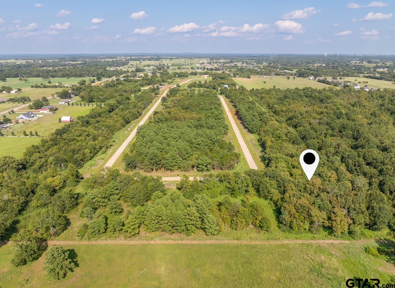 12372 Madison Crossing Bullard, TX 75757 - Photo 12 of 13 a view of a city