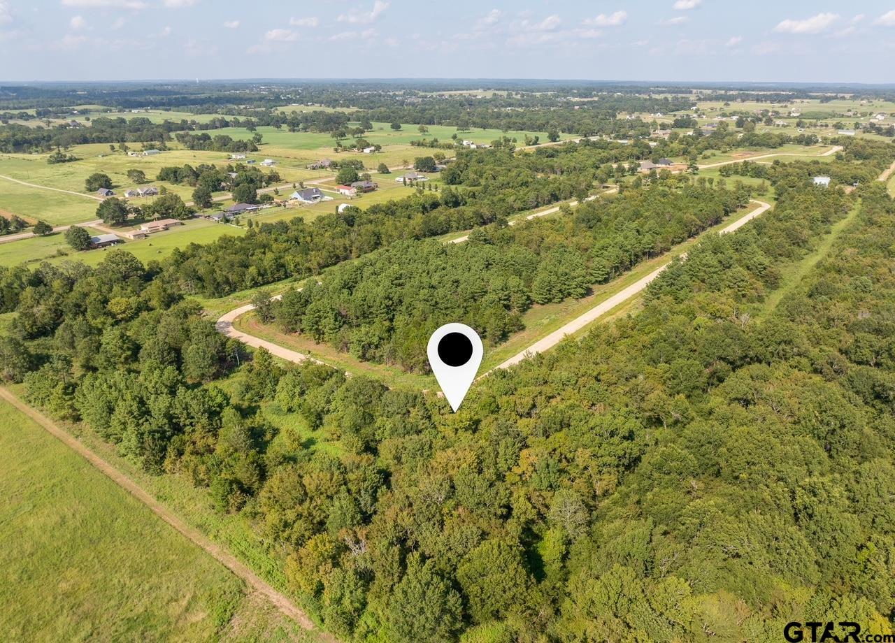 12372 Madison Crossing Bullard, TX 75757 - Photo 6 of 13 a view of a city