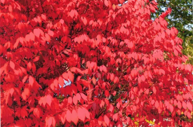 $499,999 | 642 Federal Road, Livermore, ME 04253