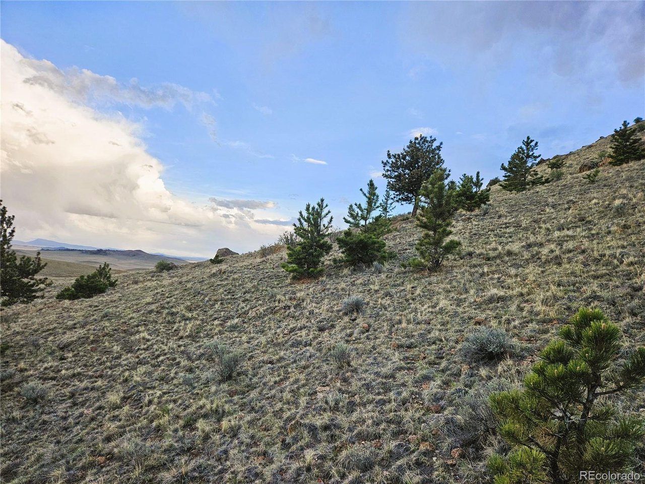25468 Sioux Road Hartsel, CO 80449 - Photo 20 of 25