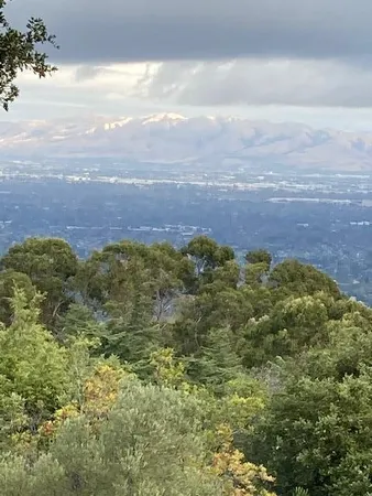 a view of a bunch of an outdoor space