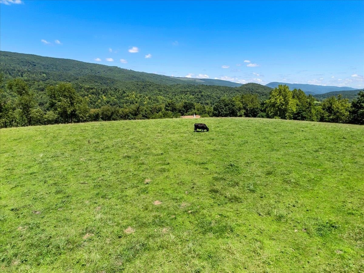 398 Penvir Road Narrows, VA 24124 - Photo 72 of 101 Gallery Image 72
