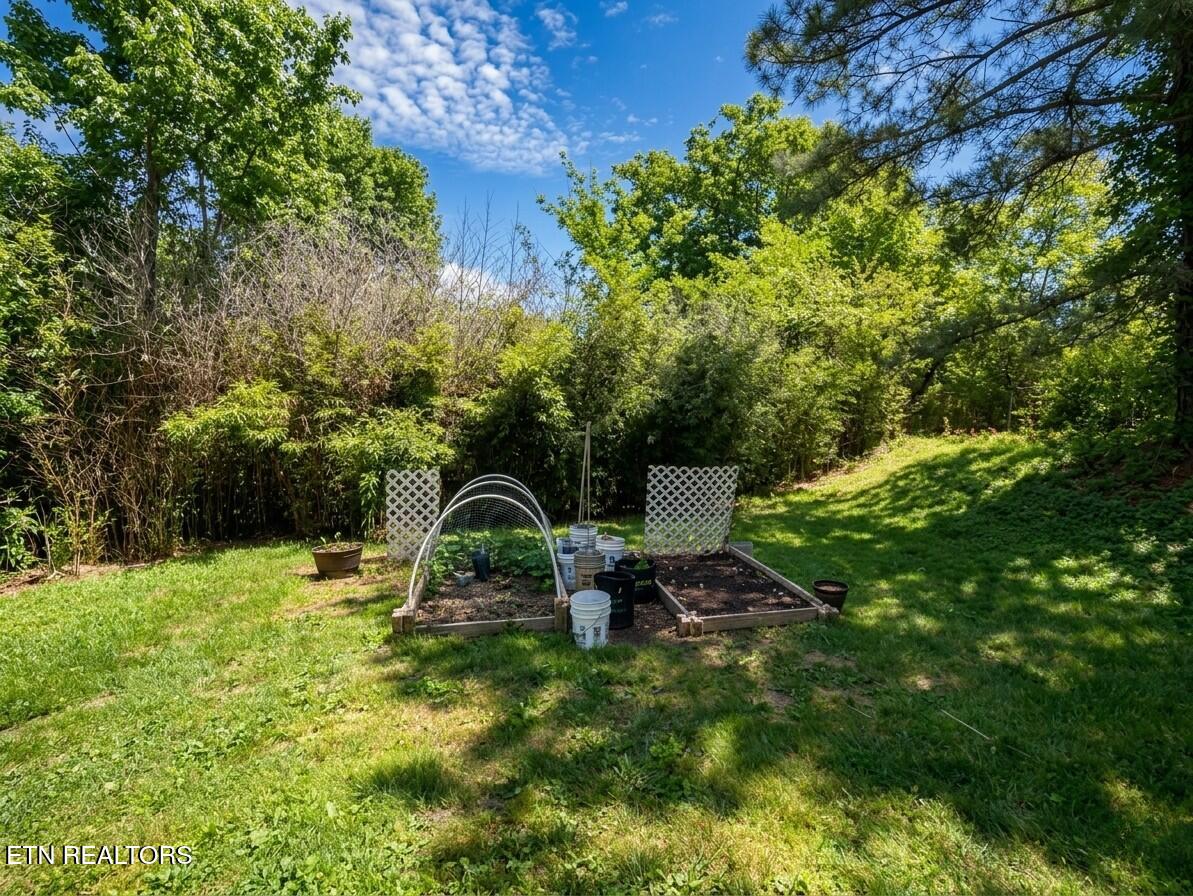 7300 Oak Chase Road Knoxville, TN 37918 - Photo 11 of 12 IMG_8375
