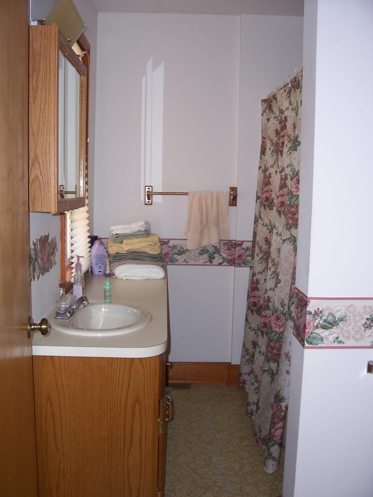 2051 Julia Road Renick, WV 24966 - Photo 19 of 20 Master Bath