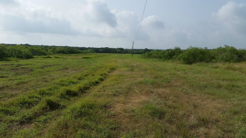 10-acres County Line Road Dale, TX 78616 - Photo 1 of 1 Gallery Image 1