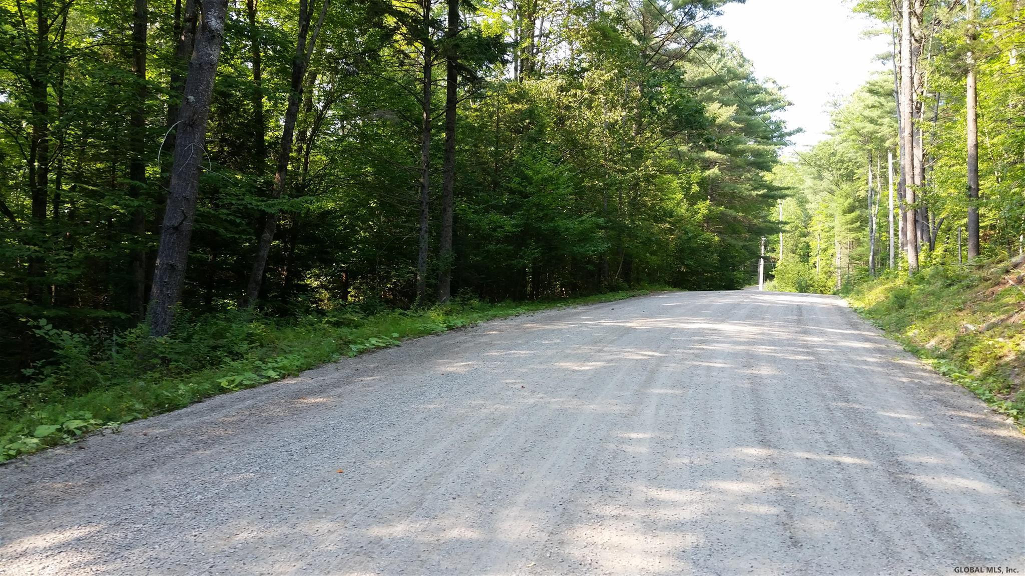 0 Woodridge Road Brant Lake, NY 12815 - Photo 1 of 2 Photo 1