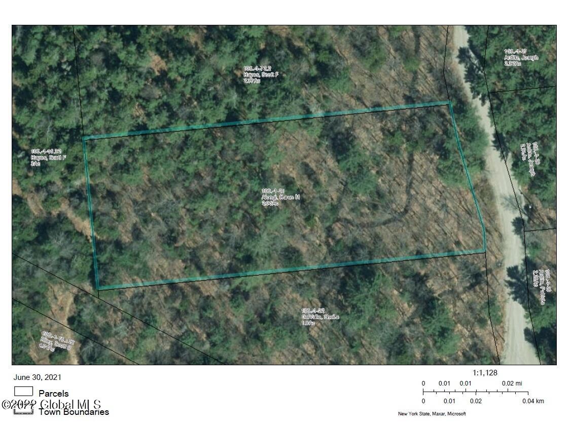 0 Woodridge Road Brant Lake, NY 12815 - Photo 2 of 2 0 Woodridge Rd Topo