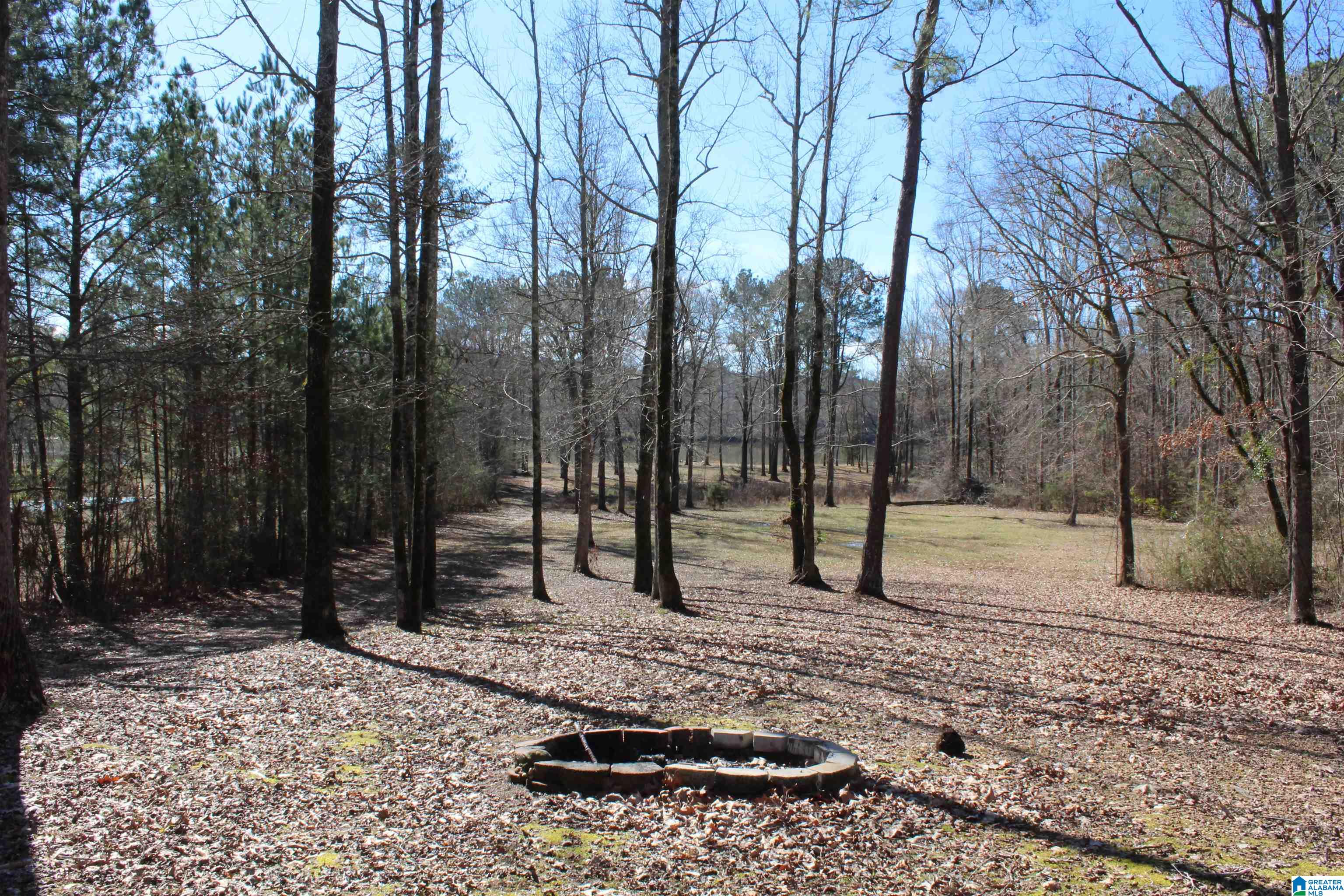 85 Brooks Road Ragland, AL 35131 - Photo 18 of 27
