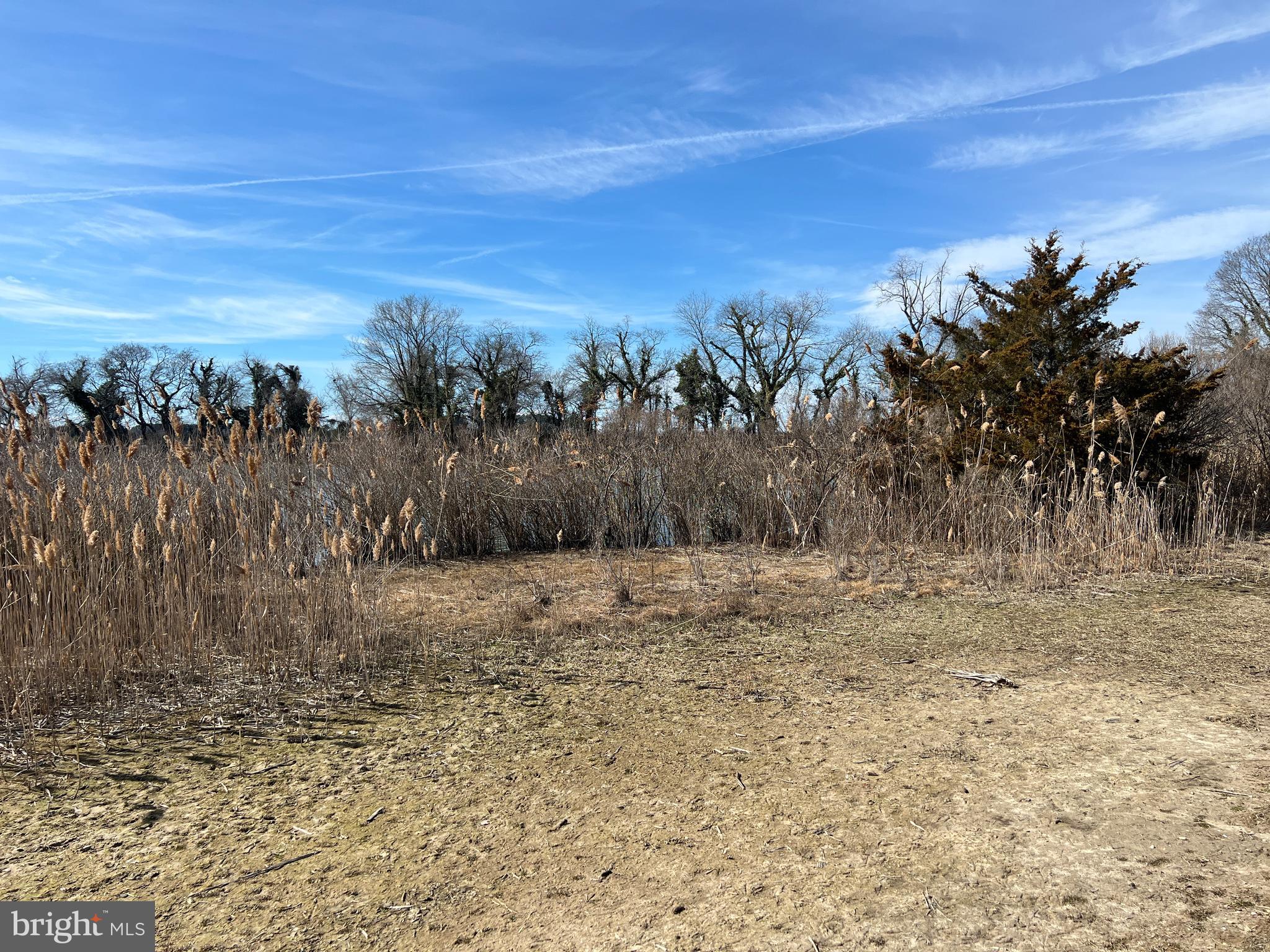 Oxford Road Oxford, MD 21654 - Photo 5 of 6 a view of a yard
