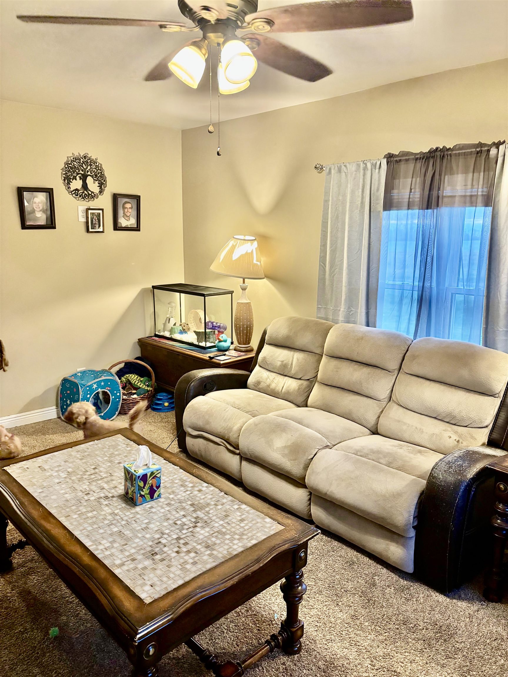 917 East River Road Mount Pleasant, MI 48858 - Photo 20 of 26 Gallery Image 20