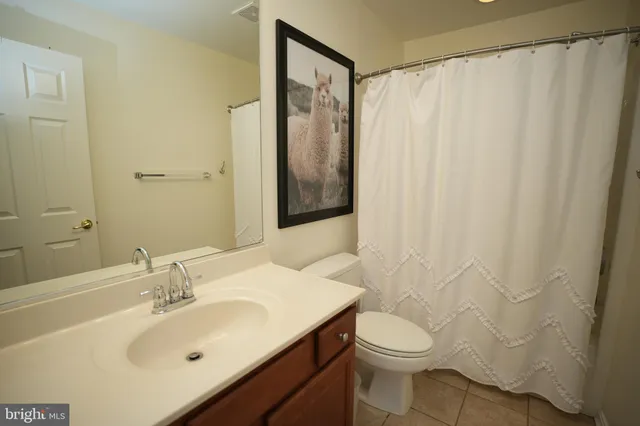 a bathroom with a sink a toilet and shower curtain