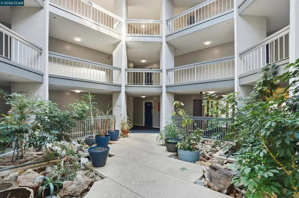 a view of a building with potted plants