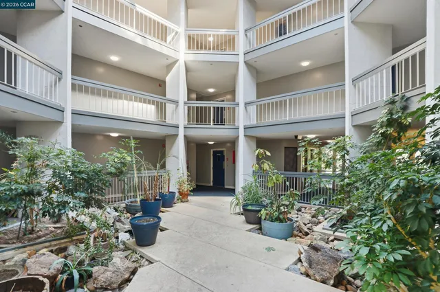 a view of a building with potted plants
