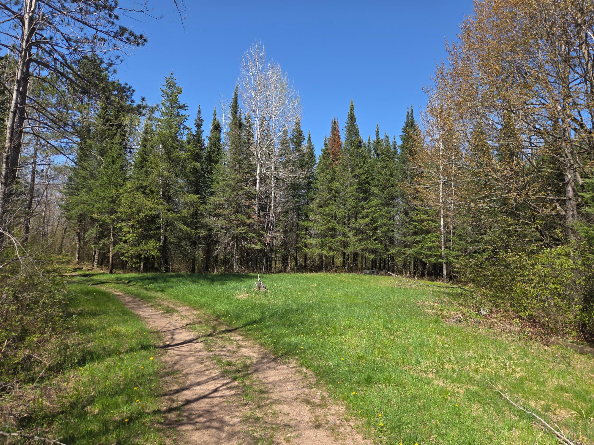 Off Hay Creek Road, Unit 820ACRES Prentice, WI 54556 - Photo 8 of 43 Gallery Image 8