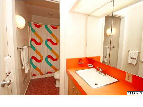 1620 Keith Valley Road Charlottesville, VA 22901 - Photo 17 of 24 a bathroom with a sink a vanity and a shower curtain
