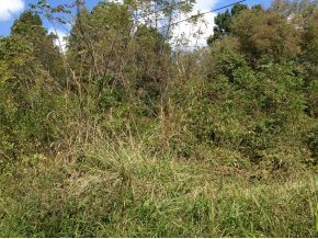 0 Happy Valley Road Johnson City, TN 37601 - Photo 3 of 3 Photo 3
